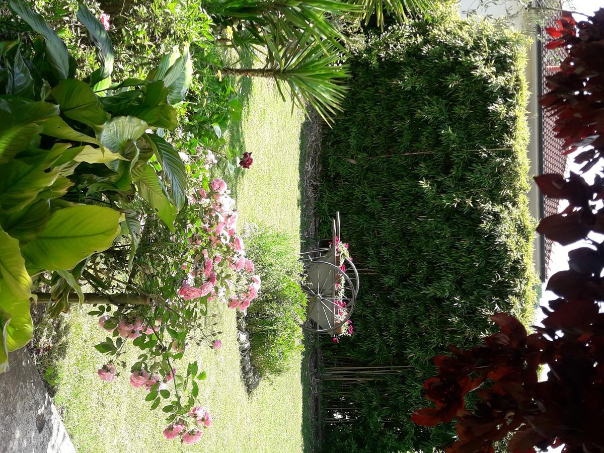 Appartamento Aliso' Sarzana Esterno foto