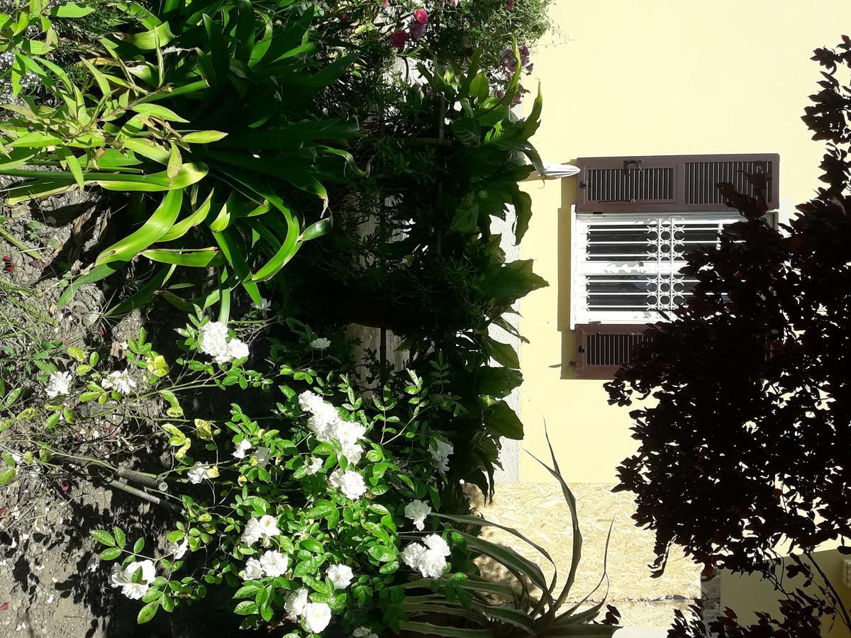 Appartamento Aliso' Sarzana Esterno foto